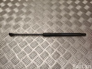 Renault 904526066R MEGANE E 2023 Gas Spring