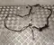 Toyota 82153-47420 / 8215347420 PRIUS (_W6_) 2024 Harnais pour intérieur Porte - Image 1