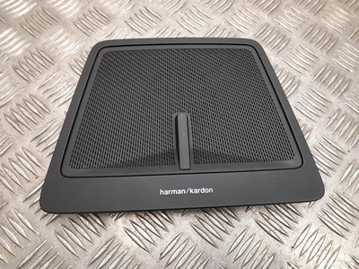 Polestar 8892887711, Y0349668 4 2025 Garsiakalbio grotelės - Nuotrauka 1