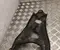Dacia 2269R DUSTER (HM_) 2024 Front track control arm lower Right Front - Image 2