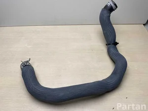 Renault 215019412R AUSTRAL 2024 Шланг радиатора