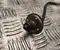 Dacia 226907163R BIGSTER 2025 Lambda Sensor - Image 2