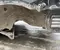 BMW X5 (G05) 2018 Body quarter Left Rear - Image 3