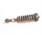 Ford USA NL3818045, 7L14-18A09-AF, NL38-18B036-AA, 1A101965-A,  KB5ASY, 250131B, 0416245 / NL3818045, 7L1418A09AF, NL3818B036AA, 1A101965A, KB5ASY, 250131B, 0416245 F-150 LIGHTNING Crew Cab Pickup 2025 Stoßdämpfer vorne links - Bild 2