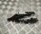 BMW 41618203276 5 (E39) 2003 Scharnier, Motorhaube - Bild 1