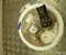 BAIC A023P00302 X55 2024 Unidad de suministro de combustible - Imagen 3