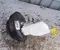 Ford 9811514180 Focus IV (C519) estate 2019 Bremsflüssigkeitsbehälter - Bild 1