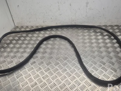 Nissan Ariya 2024 Door Seal Left Front - Image 1