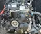 Iveco F1CFL411A, F1CFL411 DAILY VI Box 2024 Moteur complet - Image 1