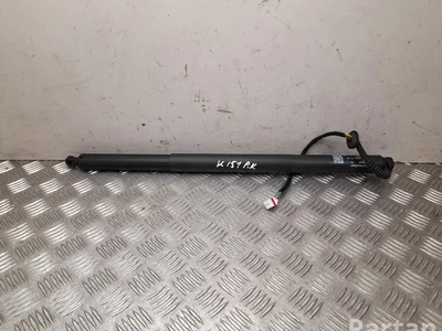 Polestar 8892891310, 10001328707 4 2025 Dujinė spyruoklė - Nuotrauka 1