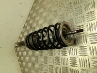 Ligier JS 50 2022 suspension strut, complete Left Front Right Front