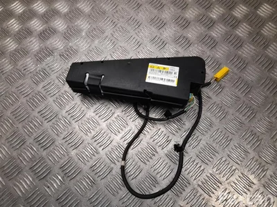 Ford AB39-21611D10-AD / AB3921611D10AD RANGER (TKE) 2018 Šoninė oro pagalvė dešinė - Paveiksliukas 1