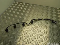 Ford BM5G-9F666 / BM5G9F666 GRAND C-MAX (DXA/CB7, DXA/CEU) 2014 Fils du compartiment moteur