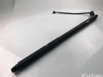 Volvo 31385257 V90 II 2017 Spyruoklės/statramsčiai ir amortizatoriai - Nuotrauka 1