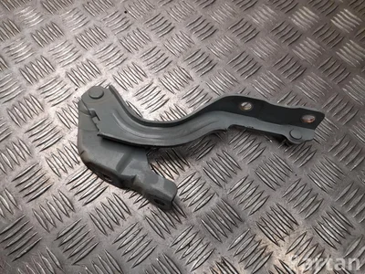 Hyundai SX2RH Kona II 2023 Scharnier, Motorhaube - Bild 1