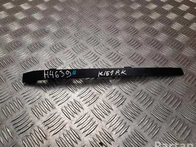 Polestar 8893686620, 1000120448 4 2025 Support pour la garniture - Image 1