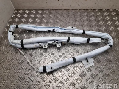 Tesla 1744307-CN, 1744307-CN-H / 1744307CN, 1744307CNH MODEL 3 2025 Galvos oro pagalvė dešinė - Paveiksliukas 1