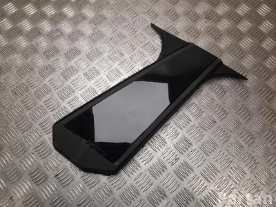 XPeng 7175110ED1, 7175100ED1, 8810010EA1 P7 2025 Cover, column B, door - Image 1