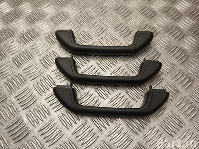 Dacia 69060 BIGSTER 2025 Roof grab handle Kit - Image 1
