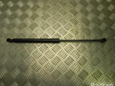 Dacia 904529943R SANDERO II 2012 Ressort à gaz - Image 1