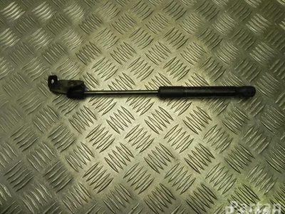 Dacia 904520004R DUSTER 2011 Ressort à gaz - Image 1