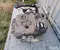 Mercedes-Benz A2054706901 C-CLASS (W205) 2015 Adblue Tank - Bild 2