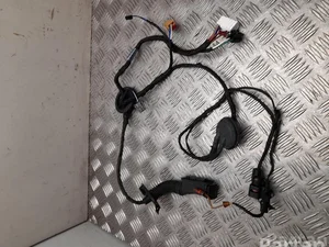 Audi 8W0971687AM A4 (8W2, B9) 2019 Harnais pour intérieur