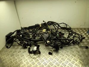 Ford USA CNJ8T-14290-EBC, LJ8T-14A390-JC / CNJ8T14290EBC, LJ8T14A390JC Mustang Mach-E 2023 Fils du compartiment moteur