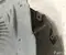 Mercedes-Benz A1676915700 GLS (X167) 2021 Wing liner Right Front - Image 2