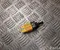 Gebrauchtes Original BAIC A00082692 X75 2025 Bremslichtschalter - Bild 1