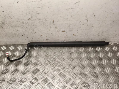 Gebrauchtes Original Ford R2KB-R402A54-AA / R2KBR402A54AA CAPRI (CX740L) 2024 Gasfeder - Bild 1