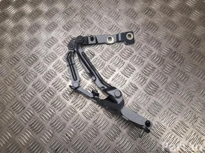 Gebrauchtes Original Tesla 1714864-00-D / 171486400D MODEL 3 2025 Scharnier, Motorhaube - Bild 1