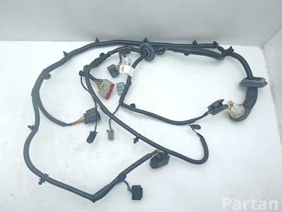 Aston Martin BG43-14630-BA / BG4314630BA VIRAGE Volante 2012 Kable wnętrza Drzwi - Zdjęcie 1