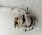 Hyundai Ioniq 5 NE 2021 Pinza de freno Right Front - Imagen 2