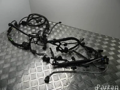 Volkswagen 5N0 971 349 AK / 5N0971349AK TIGUAN (5N_) 2009 Cables de la sección de motor - Imagen 1