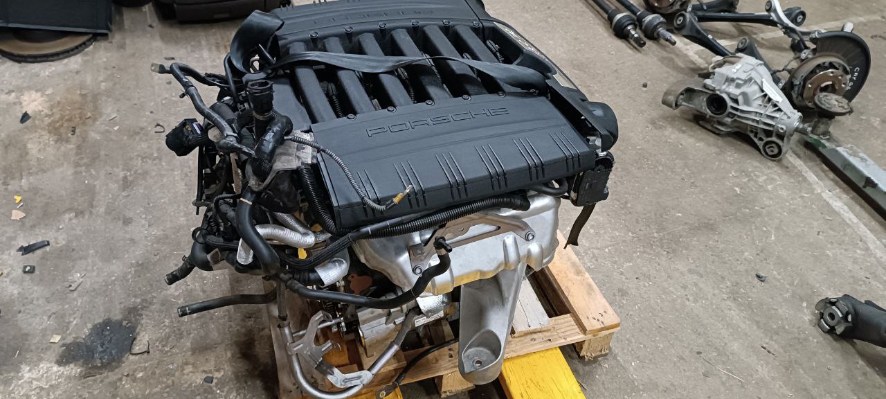 PORSCHE Cayenne 958 (2010-2018) Двигатель M5502 23491369